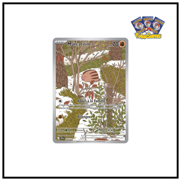 Marcacrin AR Aventures Ensemble 165/159