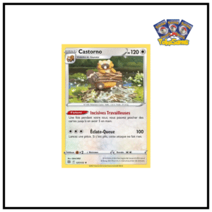 Castorno Holo Stars Étincelantes 121/172