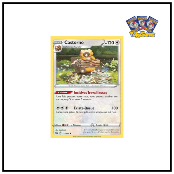Castorno Holo Stars Étincelantes 121/172