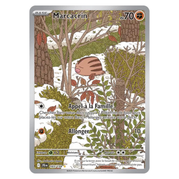 Marcacrin AR Aventures Ensemble 165/159