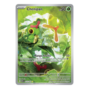 Chenipan AR 151 172/165