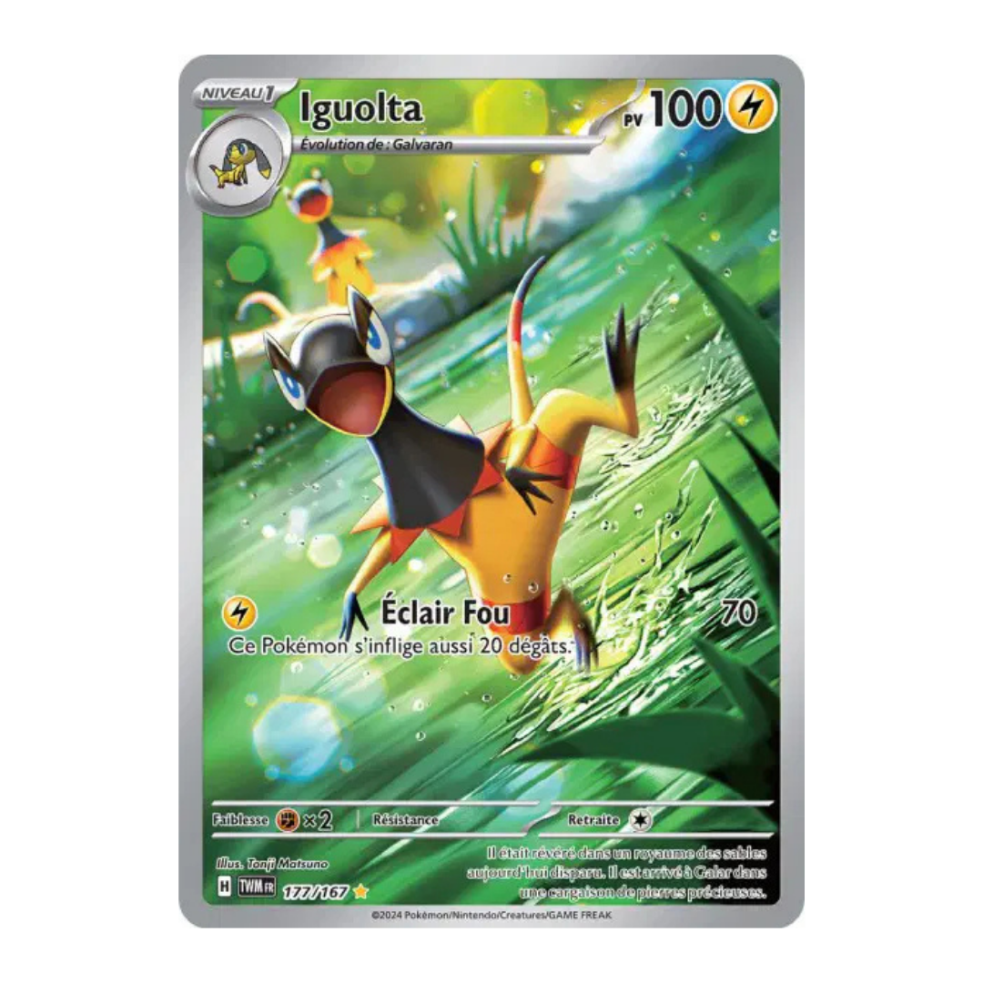 Iguolta AR Mascarade Crépusculaire 177/167